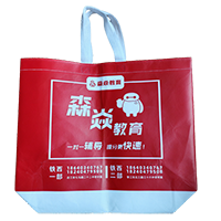 海南LB37培训班广告袋